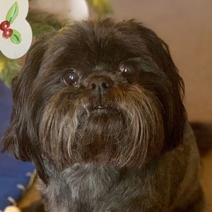Meet your Posher, Traci